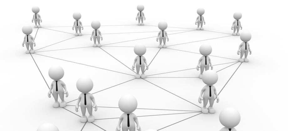 organización de la empresa